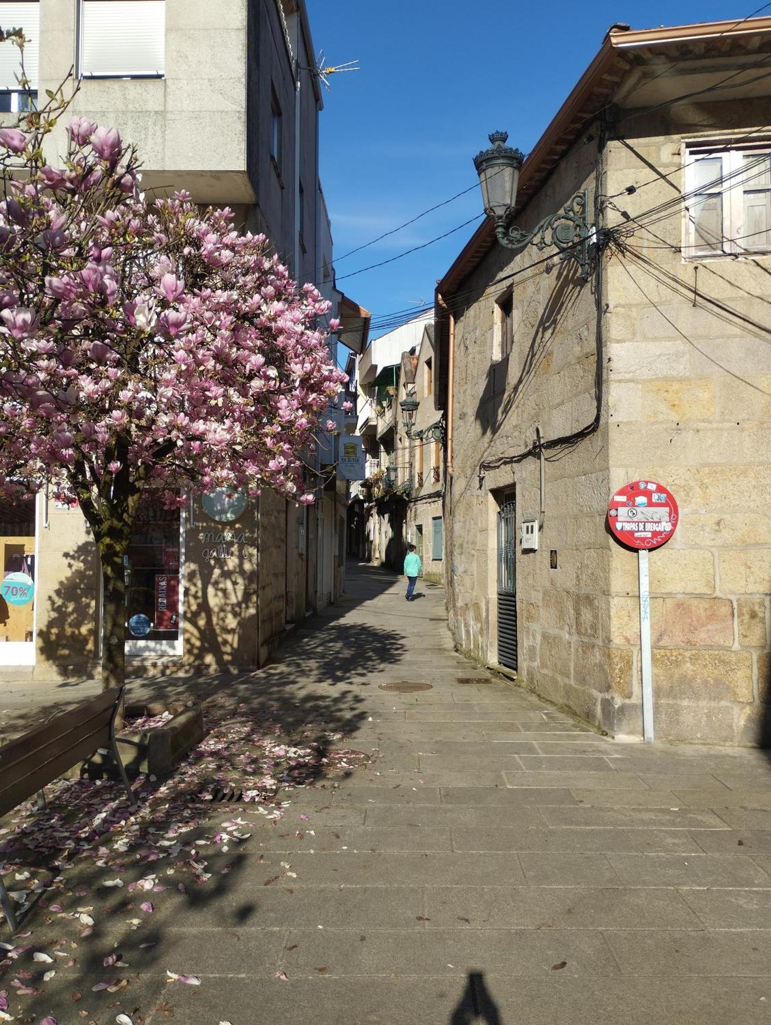 Apartament Casa Da Regueira Redondela Zewnętrze zdjęcie